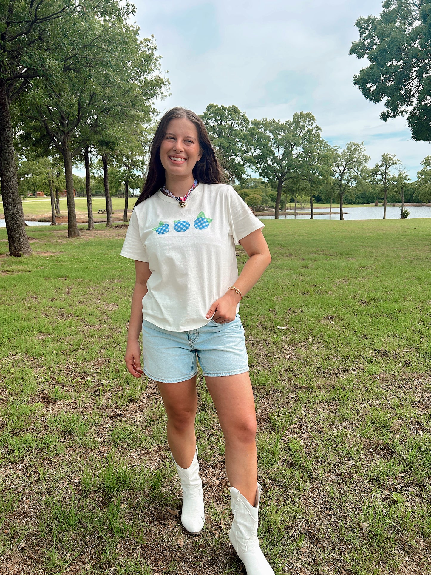 BLUEBERRY PATCH TOP