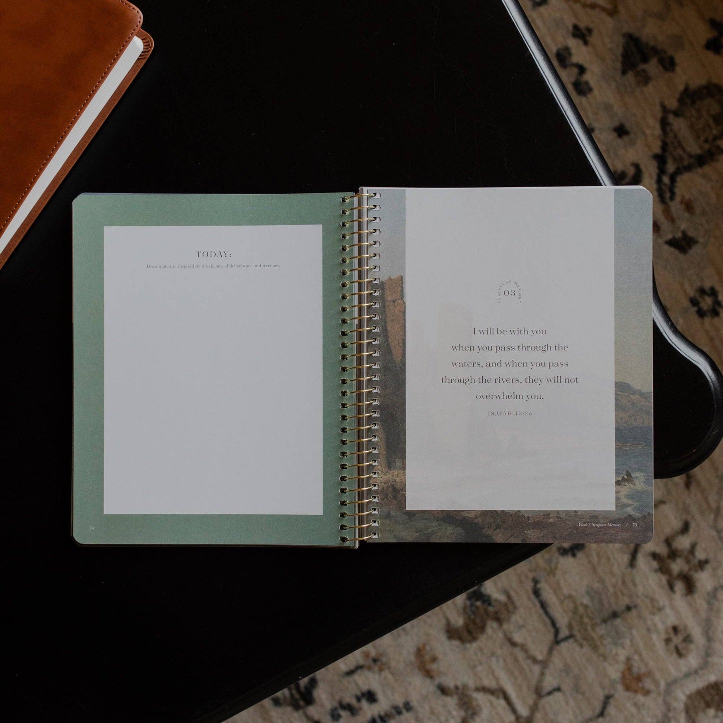 FACE TO FACE | SPIRAL BIBLE STUDY