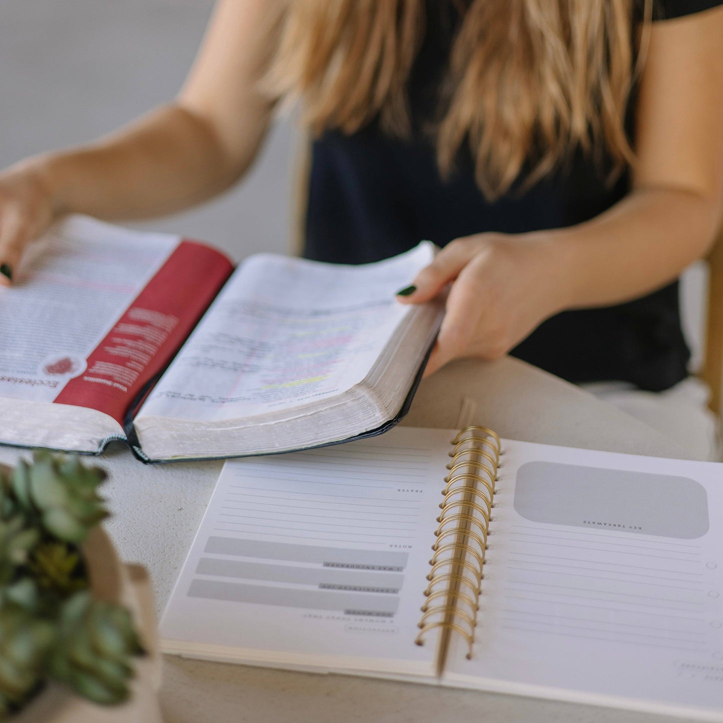 BIBLE NOTES & REFLECTION JOURNAL