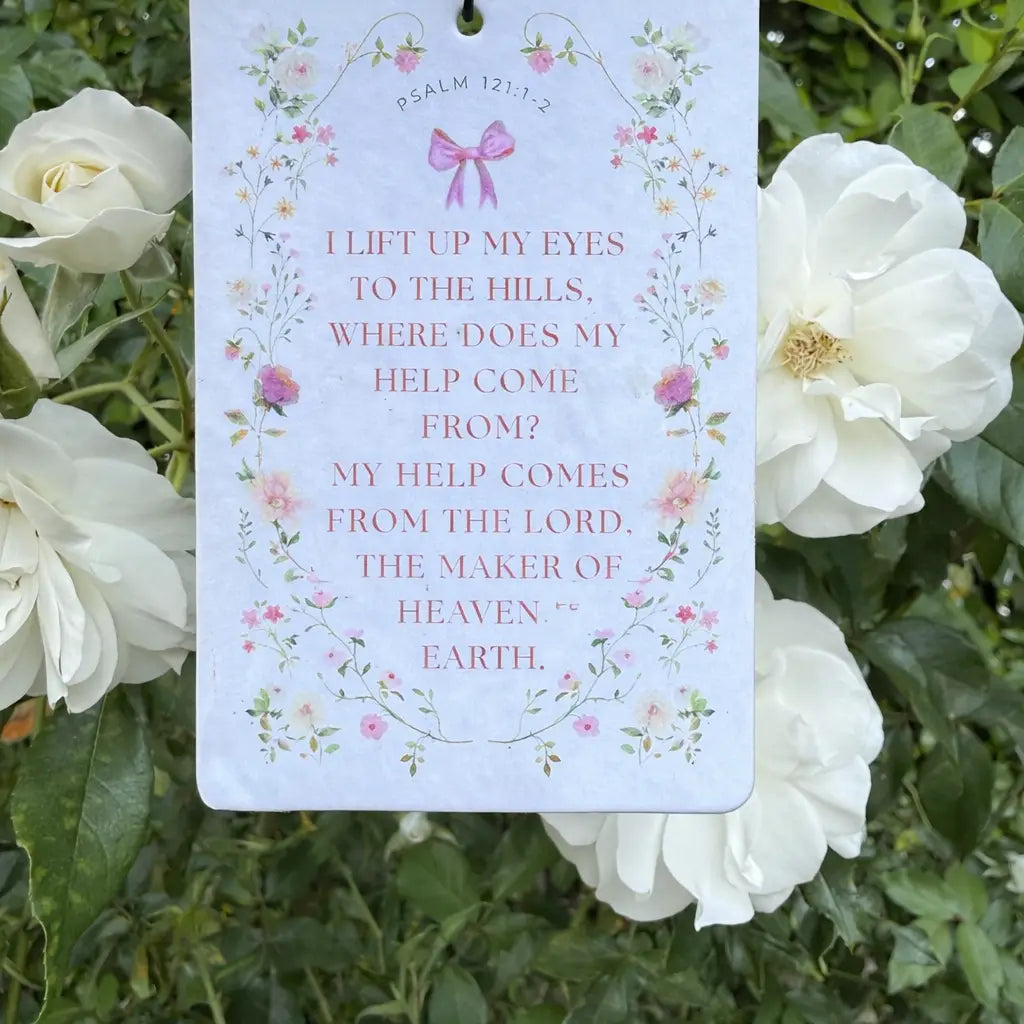 LIFT MY EYES CAR FRESHIE - Rose