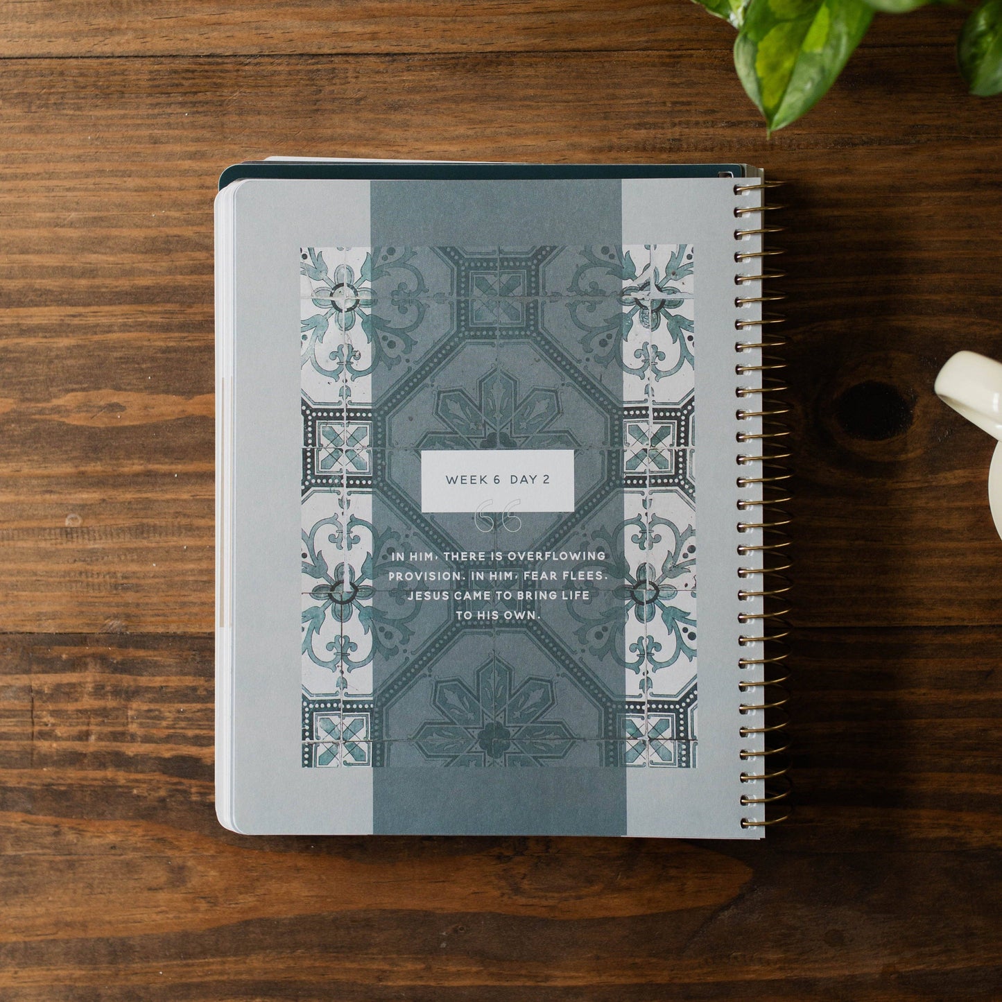 COME AND SEE | STUDY ON GOSPEL OF JOHN
