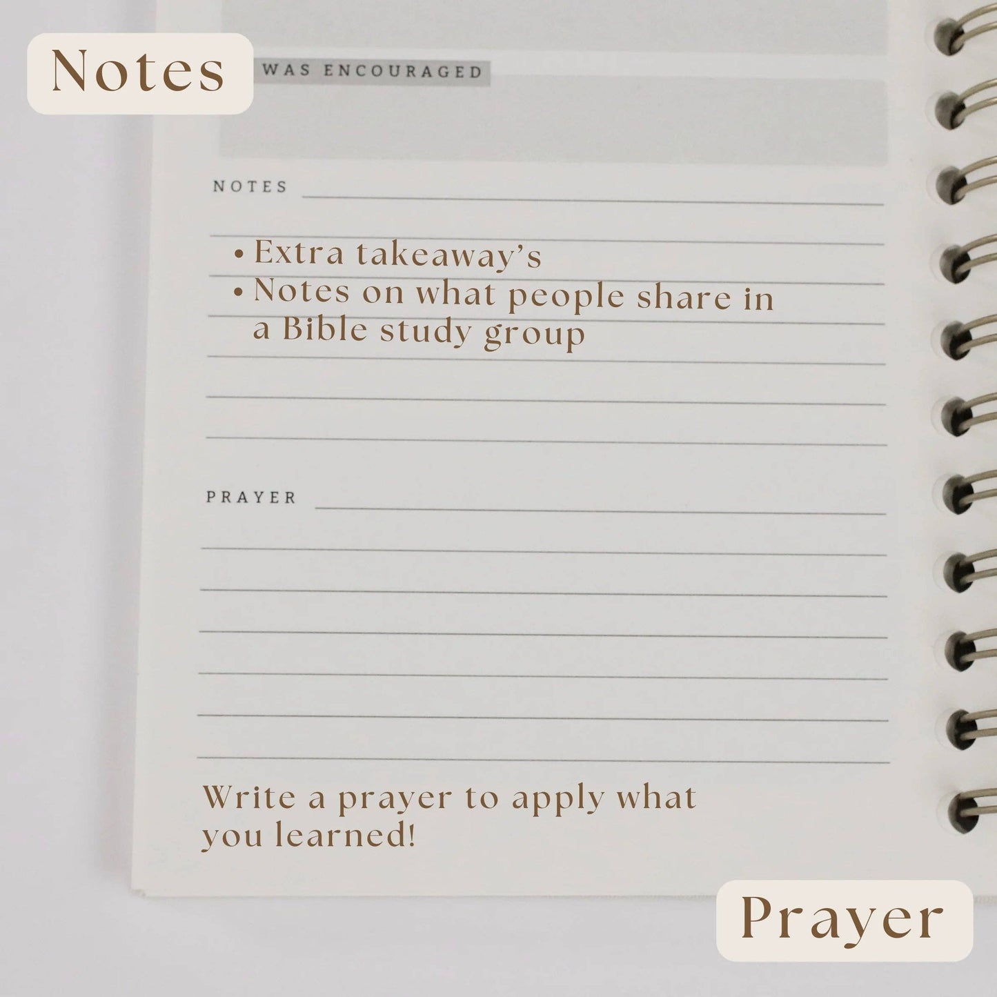 BIBLE NOTES & REFLECTION JOURNAL