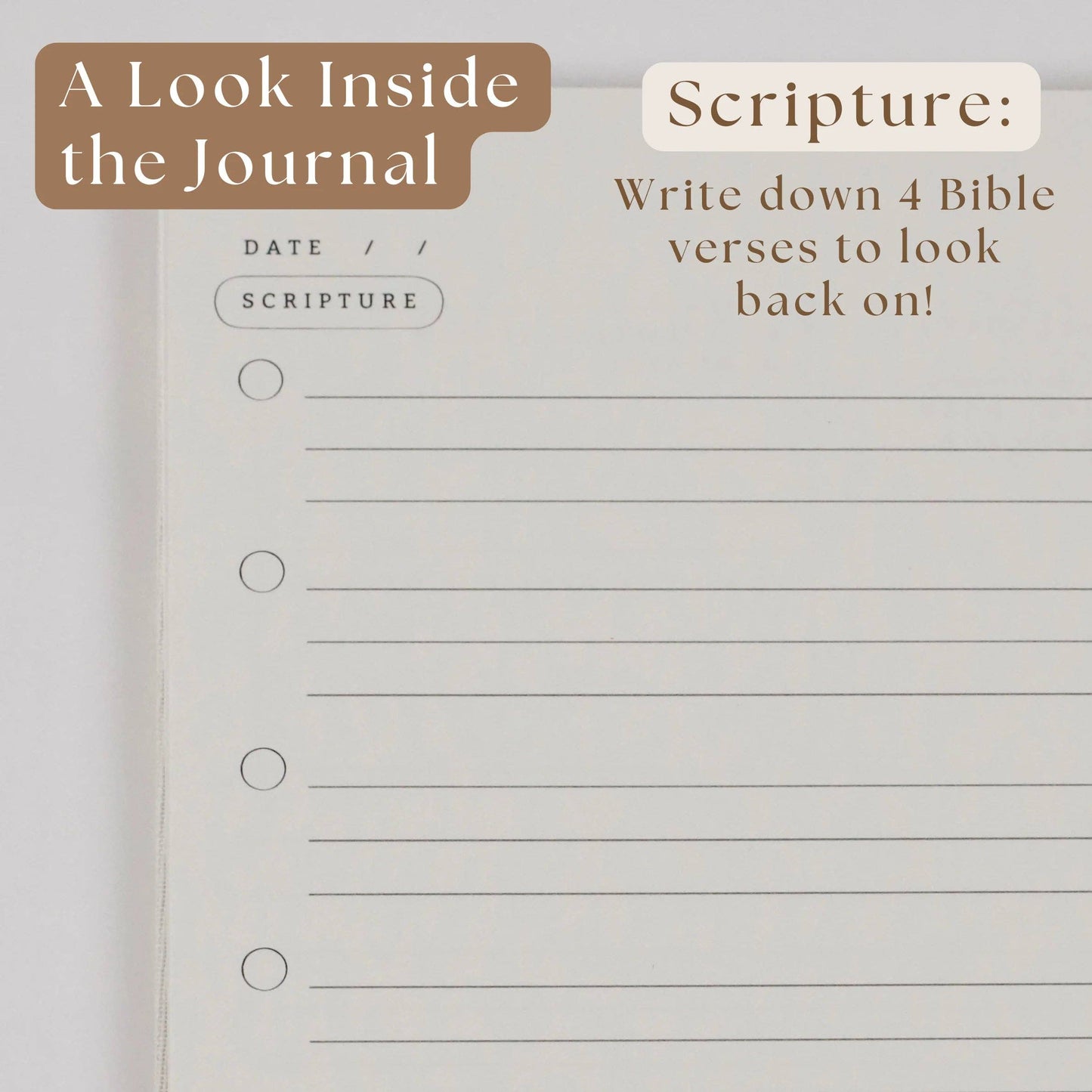 BIBLE NOTES & REFLECTION JOURNAL