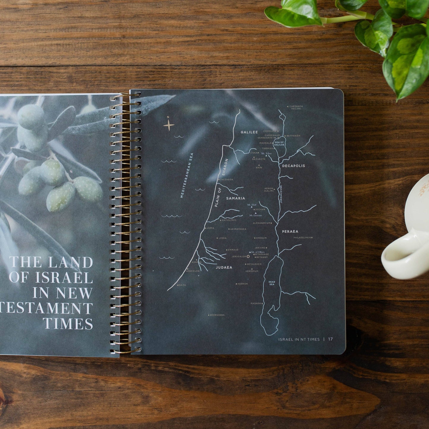 COME AND SEE | STUDY ON GOSPEL OF JOHN