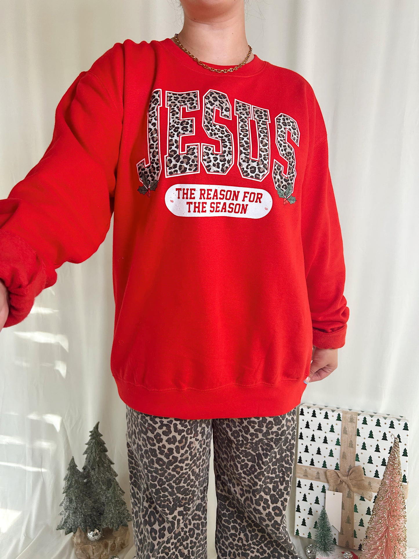 JESUS IS THE REASON SWEATSHIRT