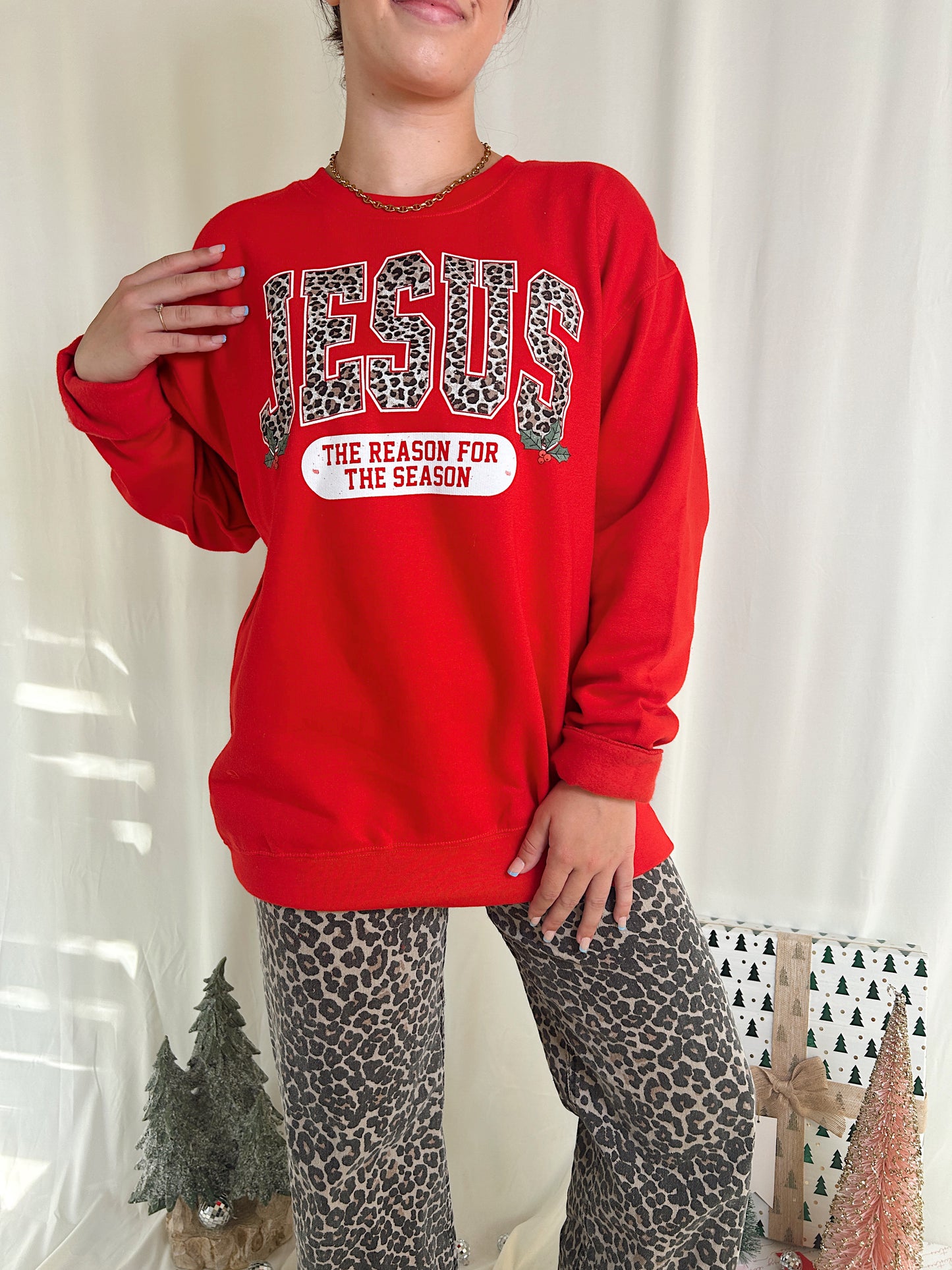 JESUS IS THE REASON SWEATSHIRT