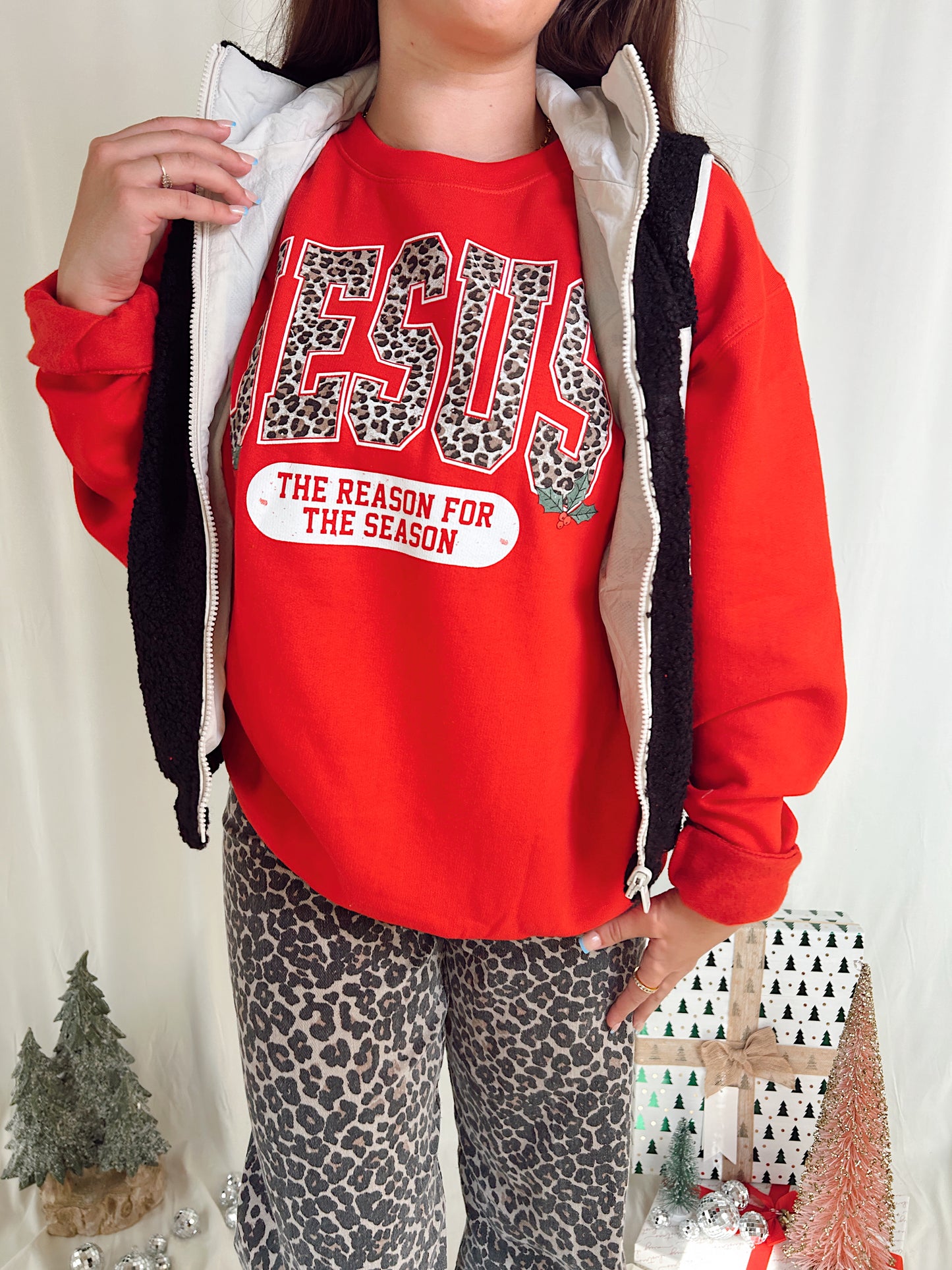 JESUS IS THE REASON SWEATSHIRT