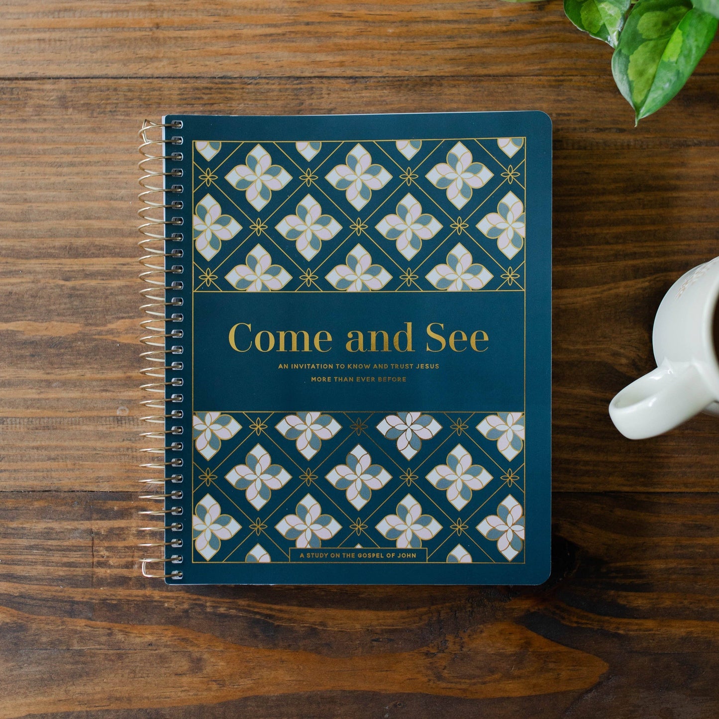 COME AND SEE | STUDY ON GOSPEL OF JOHN