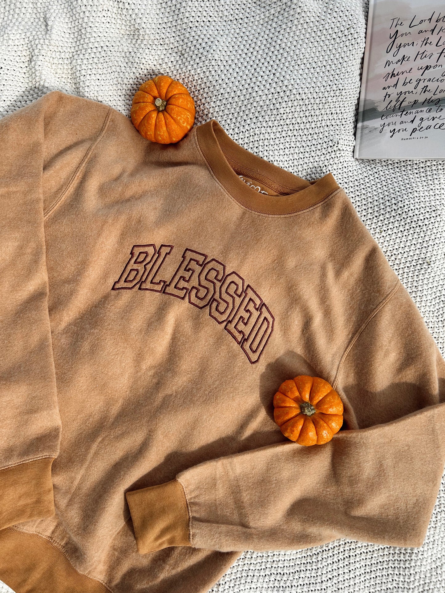 Blessed Varsity Embroidered Sweatshirt