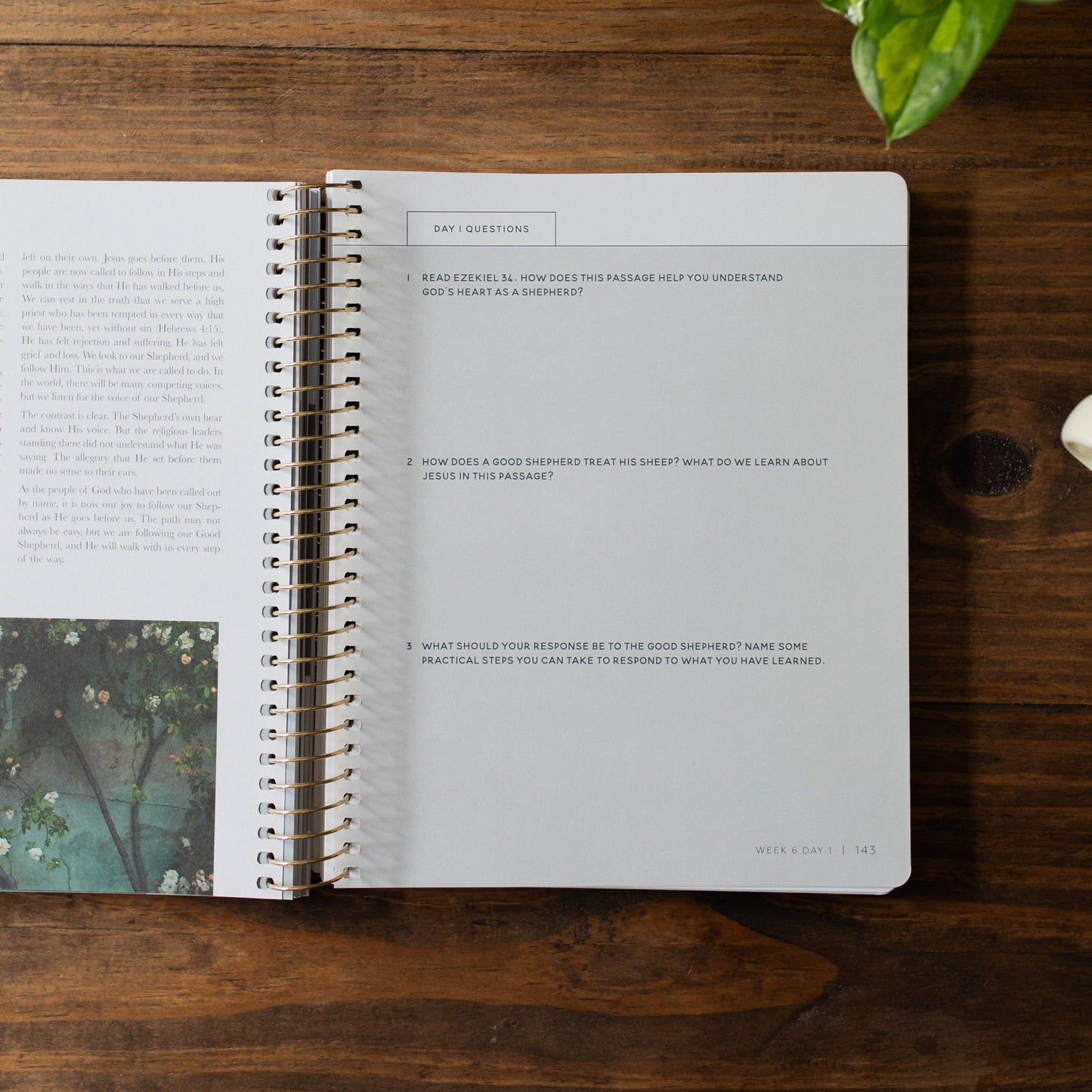 COME AND SEE | STUDY ON GOSPEL OF JOHN