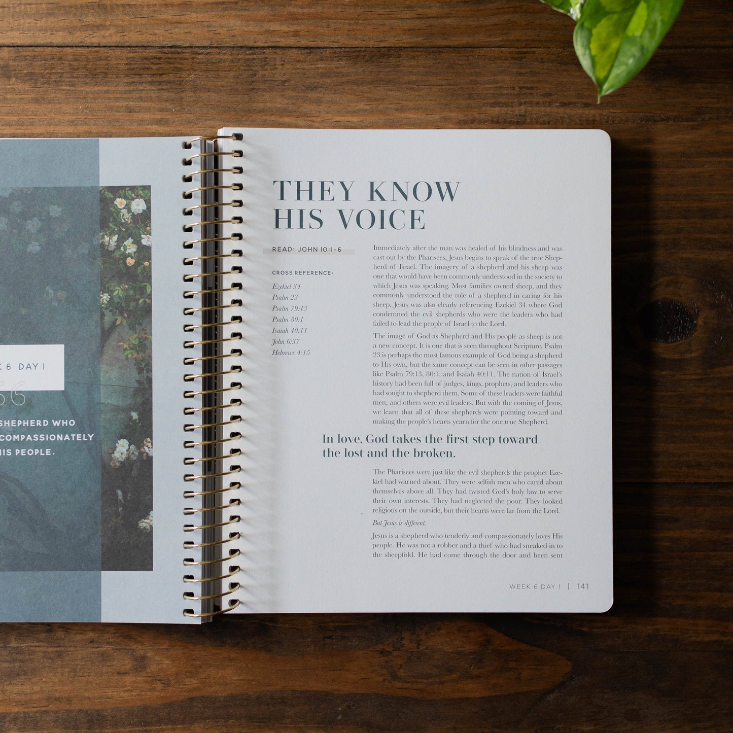 COME AND SEE | STUDY ON GOSPEL OF JOHN